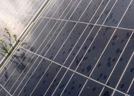 EBRD allocates $ 5 m loan for green financing of SMEs in Kazakhstan
