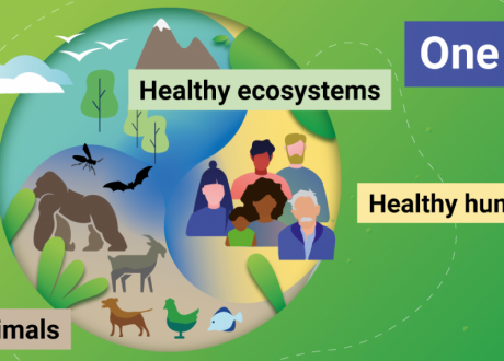 One Health focuses on global human, animal, ecosystem health