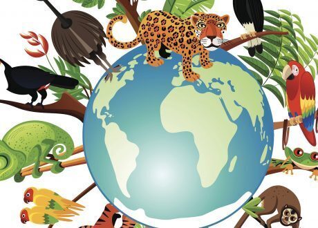 AFRAG, GRI team up for  new biodiversity standards