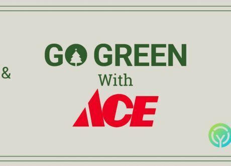 Al-Futtaim ACE revives Treecycle campaign for 2nd year to recycle Xmas trees