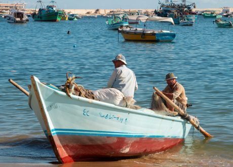 Dow, WasteAid team up to develop plastic recycling in Egypt