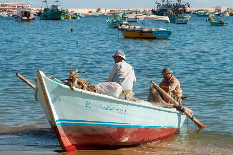 Dow, WasteAid team up to develop plastic recycling in Egypt