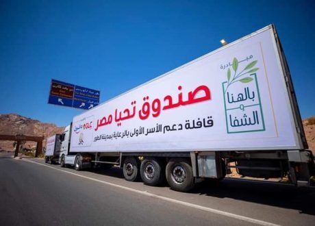 «عام العبور إلى العالمية».. تعرف على انجازات «تحيا مصر» خلال 2021