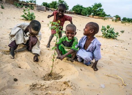  $3.6 bn UNDP program to support sustainability in Sahel region