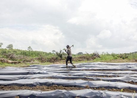 FAO warns of impact plastic pollution on silos, food security