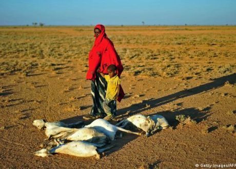 Denmark extends $ 4.3 m to reduce climate impact on Horn of Africa