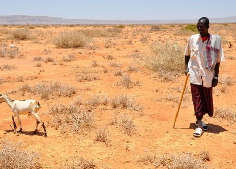 UK allocates $10 m to support 500,000 Somalis access clean water, food