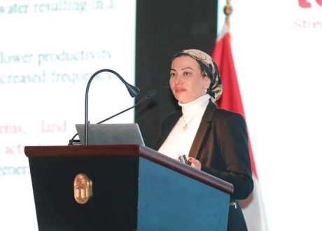 «البيئة»: الدولة المصرية تمر بمرحلة فارقة لدعم التحول للأخضر