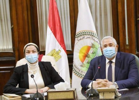 «البيئة» و«الزراعة» يناقشان سبل التعاون لاستعدادات مؤتمر «COP 27»