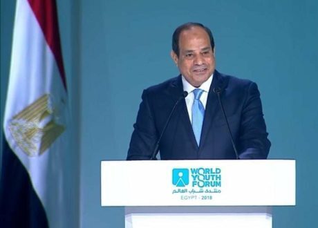 Sisi’s call at WYF for joint int’l action echoed by int’l support