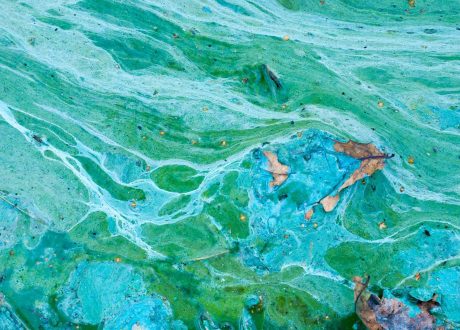 Geovation, UKHO launch challenge for sustainable solutions for coastal pollution