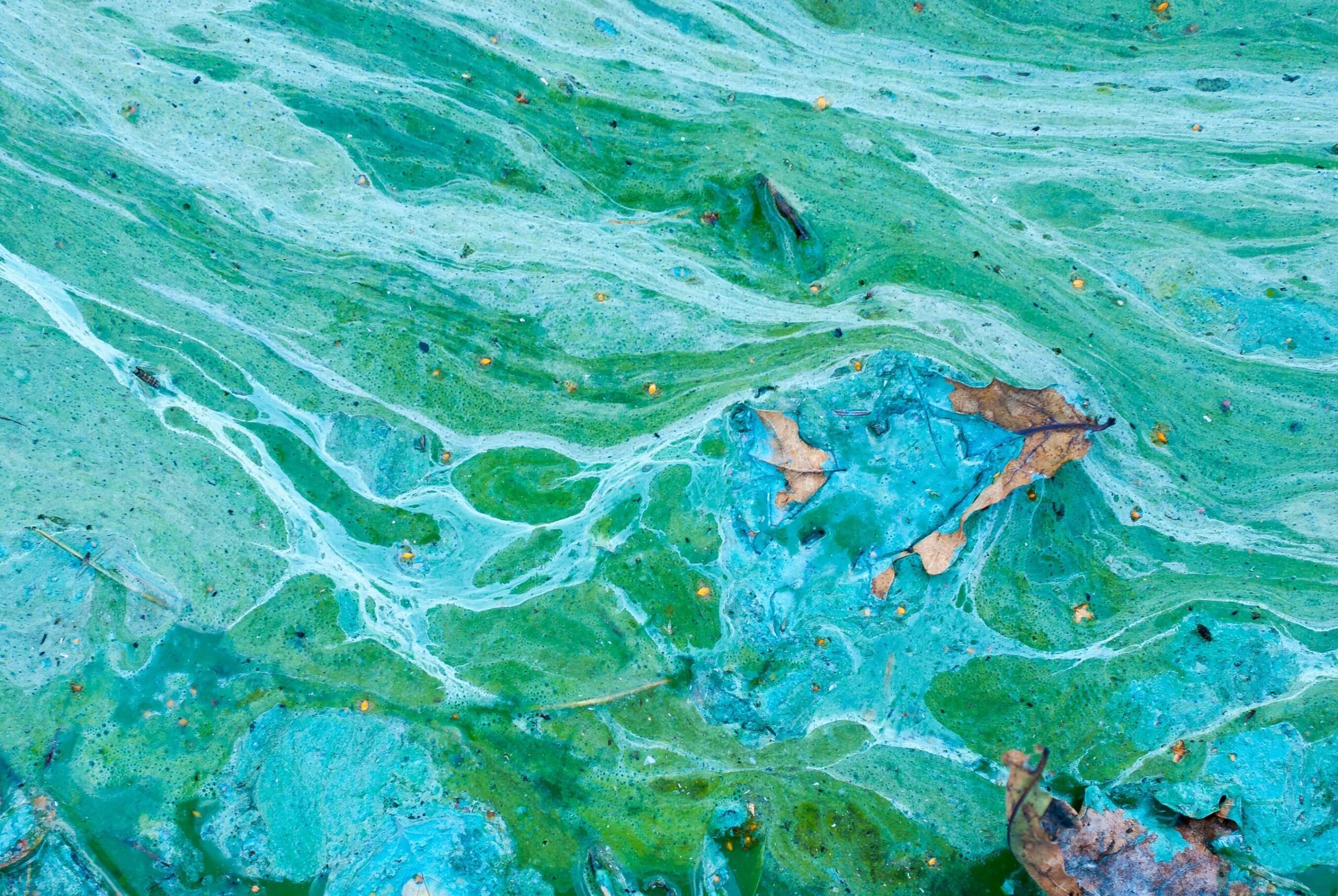 Geovation, UKHO launch challenge for sustainable solutions for coastal pollution