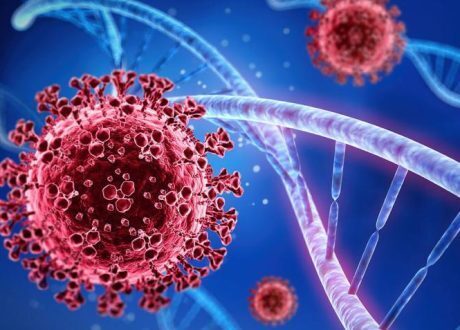 WB extends $750m loan to S.Africa to accelerate anti-COVID 19 response