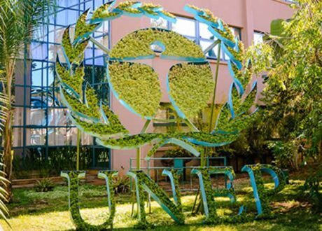 UNEP backing 22 universities in 8 African countries to become green