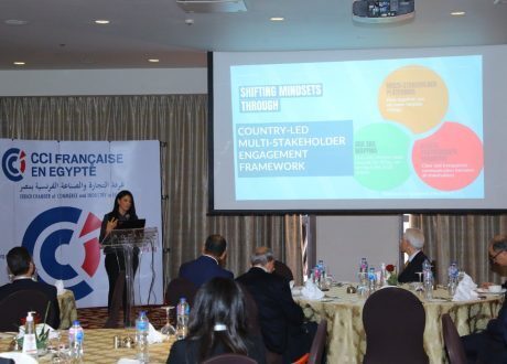 Infrastructure, water, clean energy highest SDGs receiving ODA in Egypt