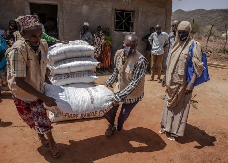 Germany extends €20 m to support drought-affected farmers in Horn of Africa