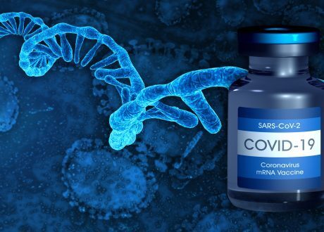 WHO: Egypt among six African states selected to produce COVID-busting mRNA vaccines