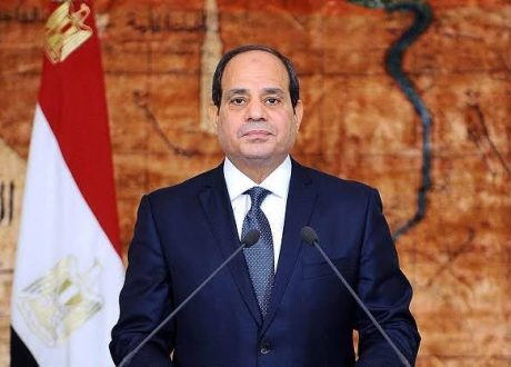 الرئيس يشهد إطلاق المشروع القومى لتنمية الأسرة المصرية