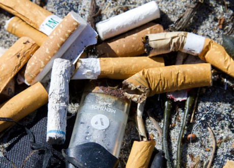UN social media campaign on environmental, health impacts of microplastics of cigarettes