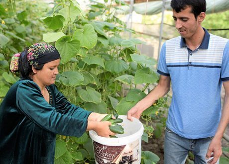 World Bank offers $ 45m grant to back Tajikistan’s sustainable use of natural resources