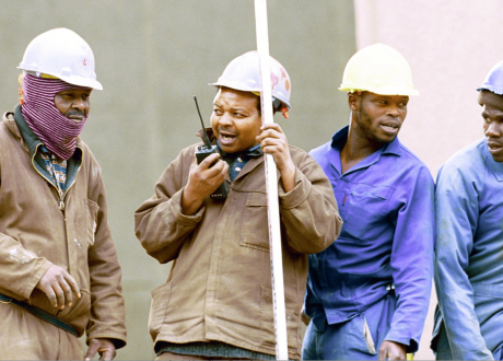 Flemish gov’t commits 2.4 m euros to enhance green economy in S. Africa