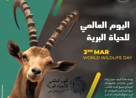Egypt marks 2022 World Wildlife Day