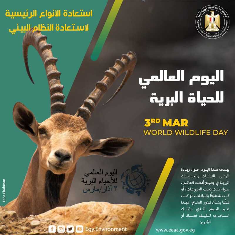 Egypt marks 2022 World Wildlife Day