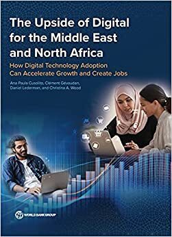 Socio-economic benefits of digital tech in MENA amounts to hundreds of billions: report