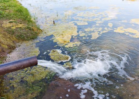 World leaders urge reducing antimicrobial waste