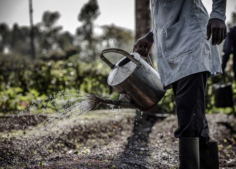 Gates Foundation extends $11 m to back agri-activities in 8 African states