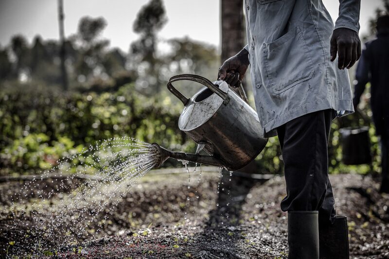 Gates Foundation extends $11 m to back agri-activities in 8 African states