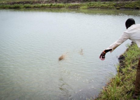 UNDP, AFCIA partners allocate $ 2.2m climate action grants