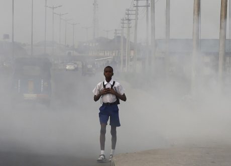 WHO urges action as 13 m people die annually over environmental causes