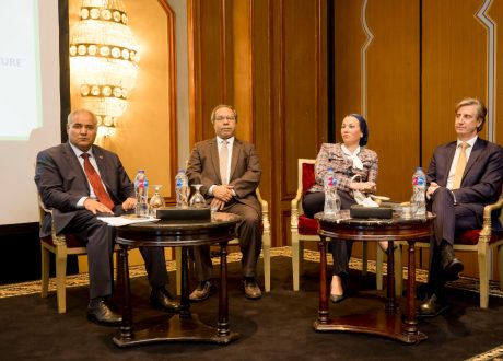 UNDP launches Germany-funded SCALA program in Egypt under climate action