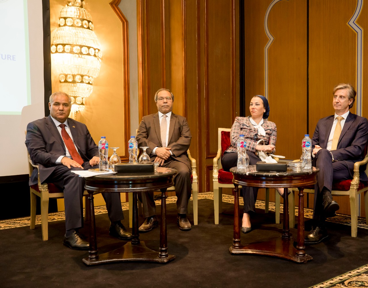 UNDP launches Germany-funded SCALA program in Egypt under climate action