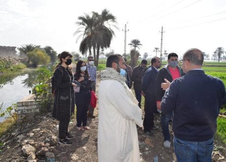Desert Research Center recommends climate smart crops for Egypt’s Nile Delta
