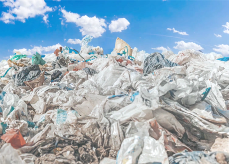 Plastic-eating enzyme to eliminate billions of tons of waste