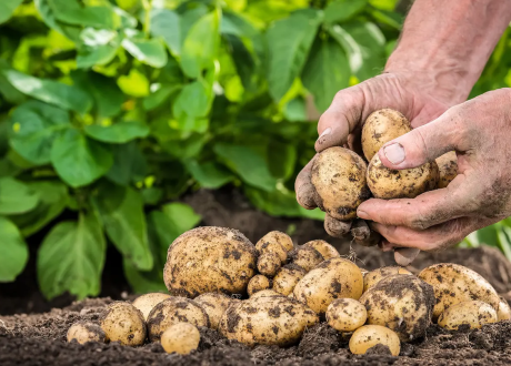 Unilever, AXA, Tikehau Capital to invest € 300 m to accelerate shift to regenerative agriculture