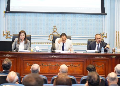 وزيرة التخطيط: 45.9 مليار جنيه لتطوير وتحسين الخدمات الصحية