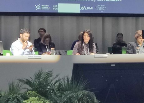 Mashat: IFIs to encourage private sector’s mobilization of climate finance