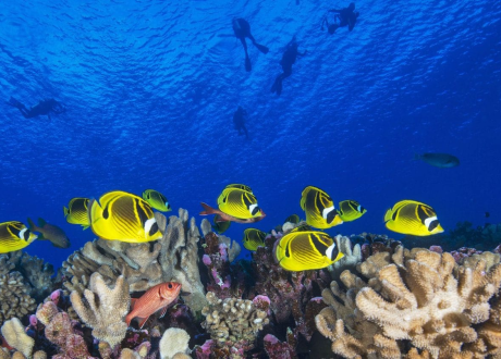 2022 World Ocean Day aims to develop global move for sustainable management of oceans
