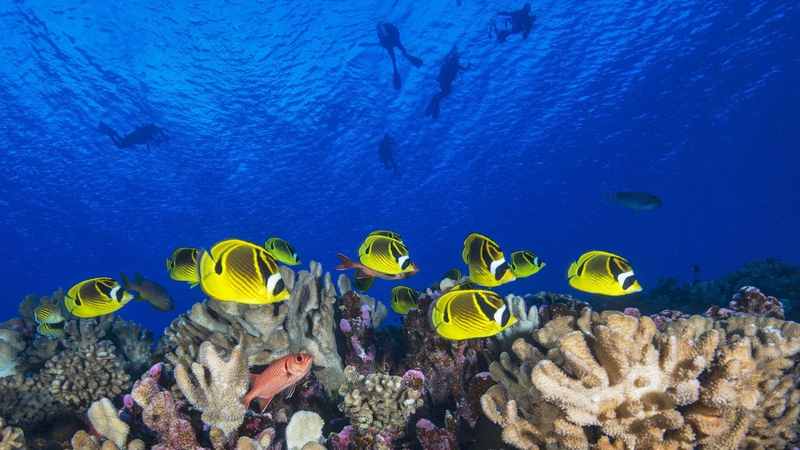 2022 World Ocean Day aims to develop global move for sustainable management of oceans