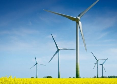 EBRD, CTF allocate €53.5 m for repowering Morocco’s wind farm