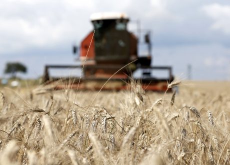 $17 m Japan-funded project to support Ukrainian farmers