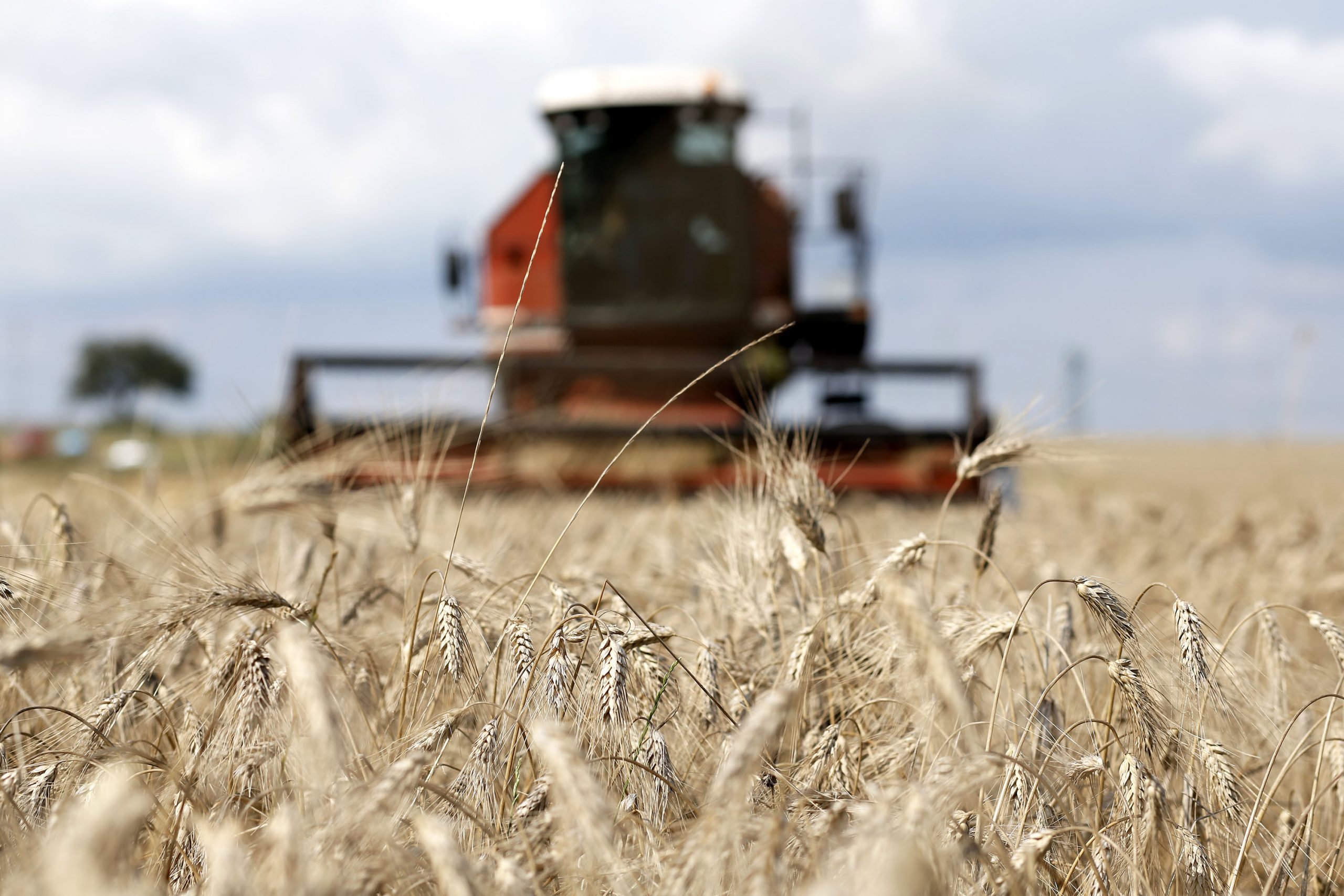 $17 m Japan-funded project to support Ukrainian farmers