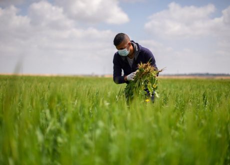 UNDP’s 2022 AHDR: Properly-planned green recovery can contribute to economic growth