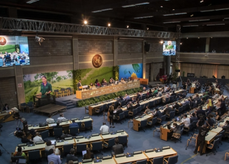 Norway to contribute $53 m to UNEP to respond to environment challenges