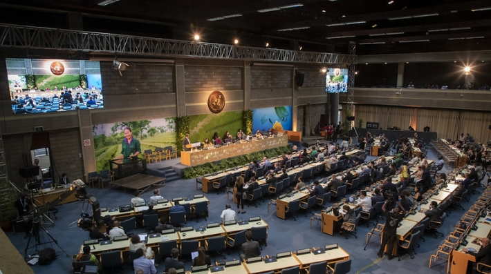 Norway to contribute $53 m to UNEP to respond to environment challenges