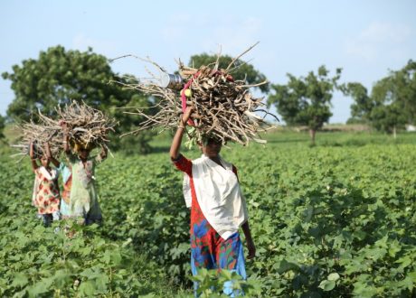 New UN resolution urges states to ensure people’s access to “healthy and sustainable environment”