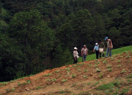 US contributes $ 20 m to catalyze efficient use of fertilizers in Sub-Saharan Africa